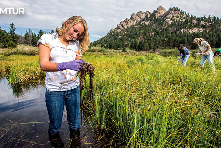 Citizen scientists