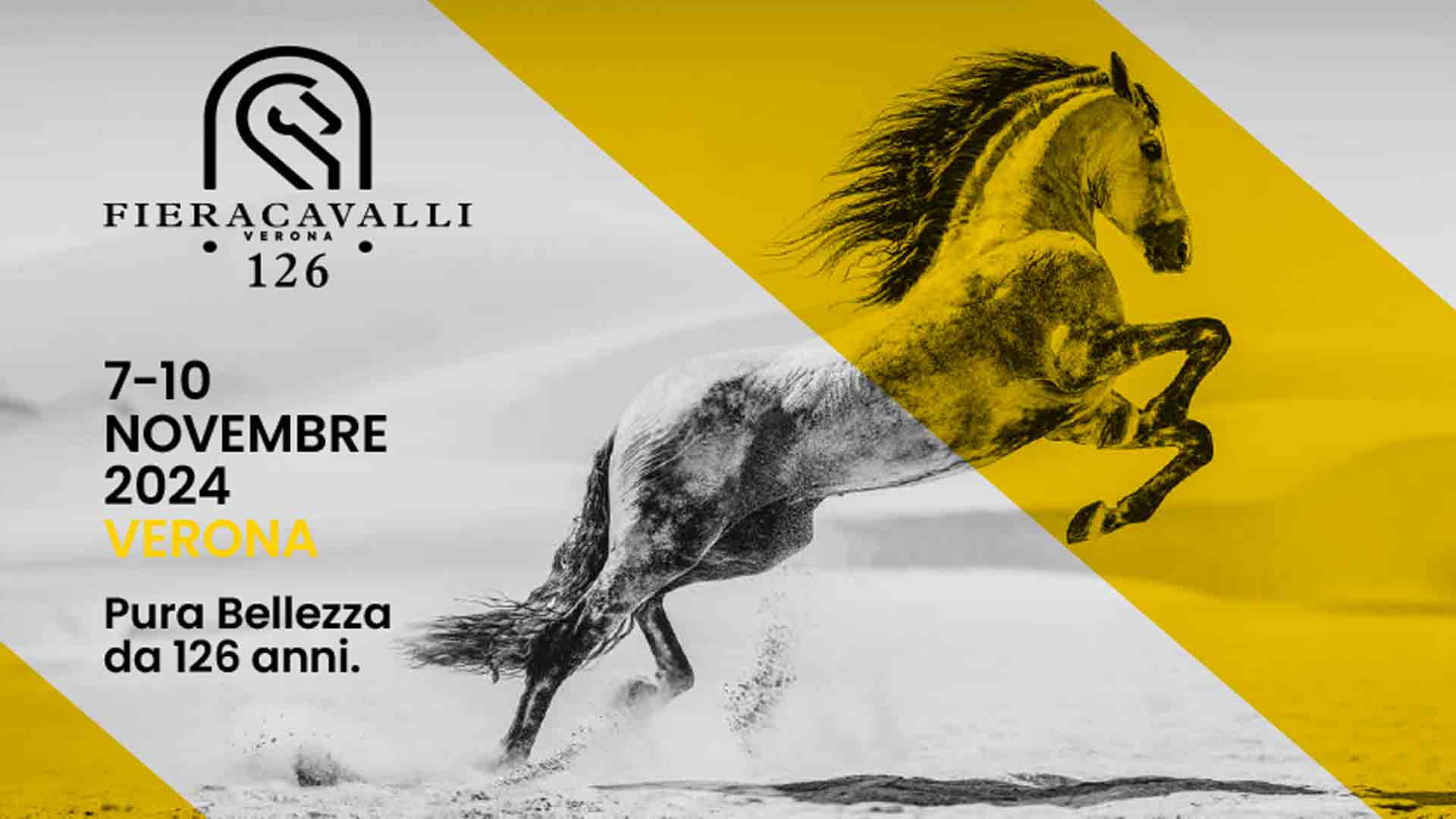 fieracavalli 2024