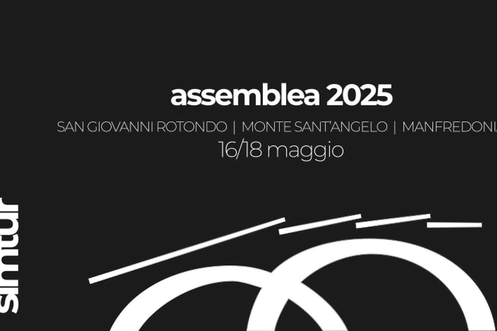 assemblea simtur 2025
