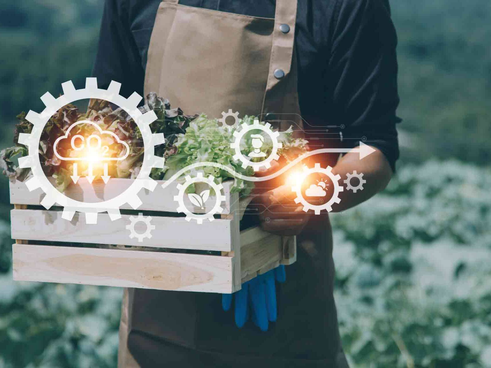 innovazione di processi territoriali