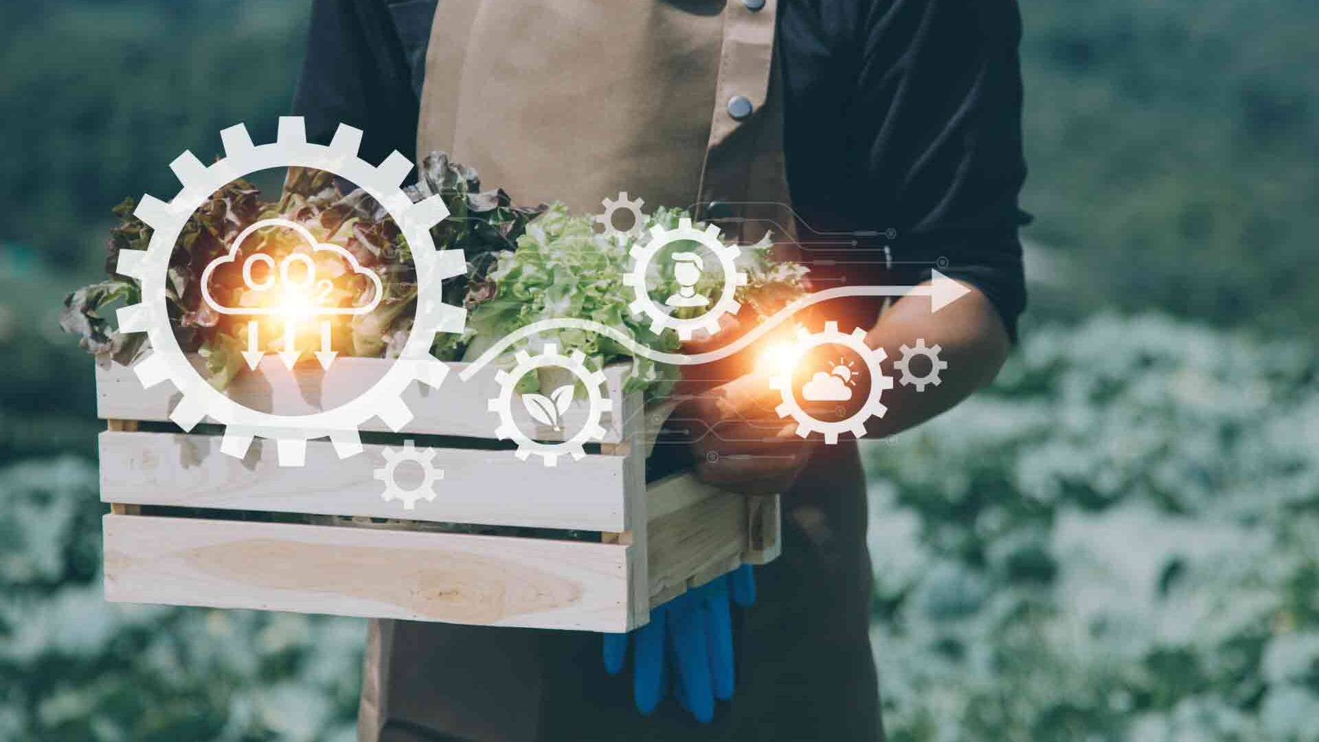 innovazione di processi territoriali