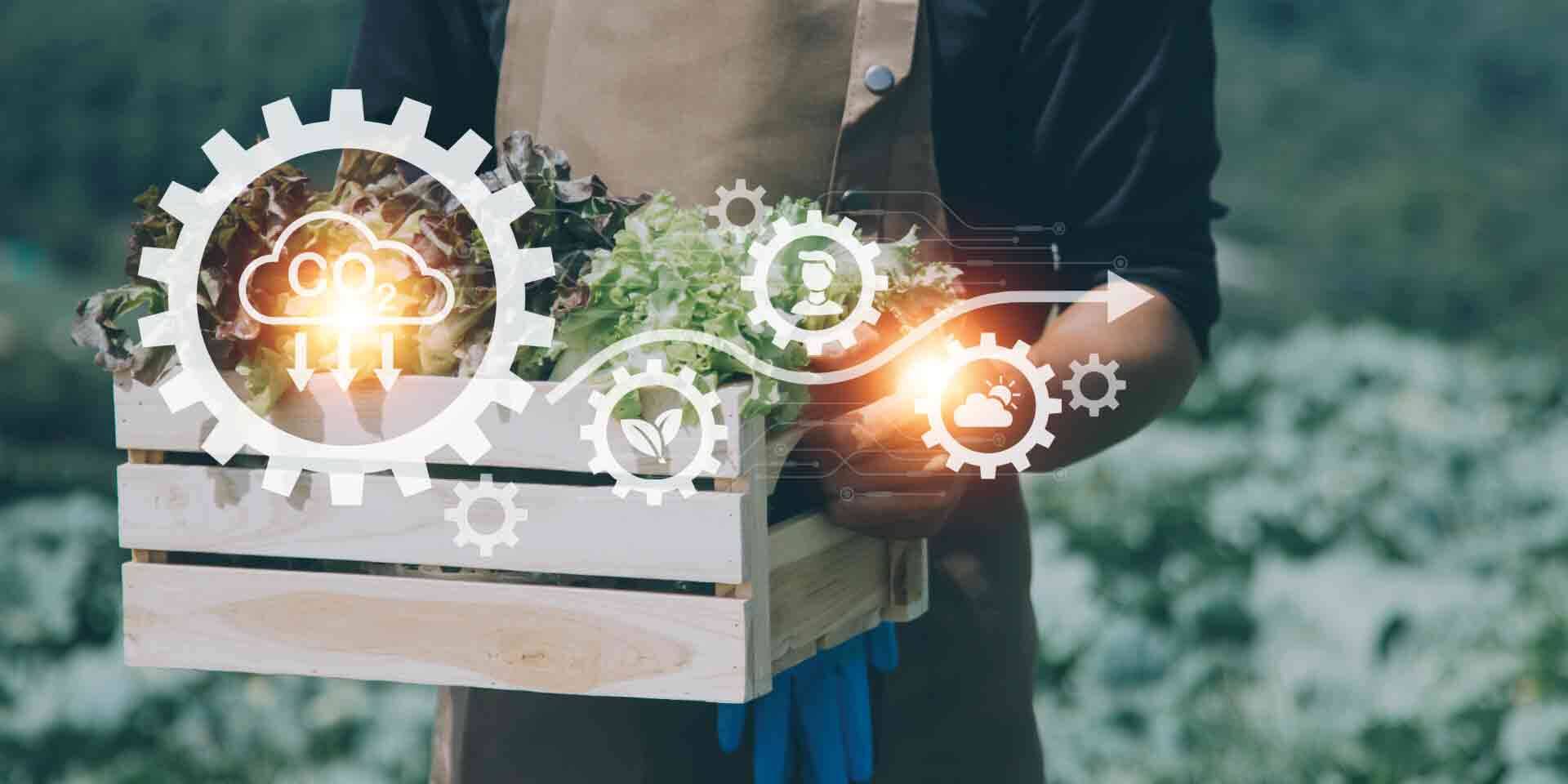 innovazione di processi territoriali