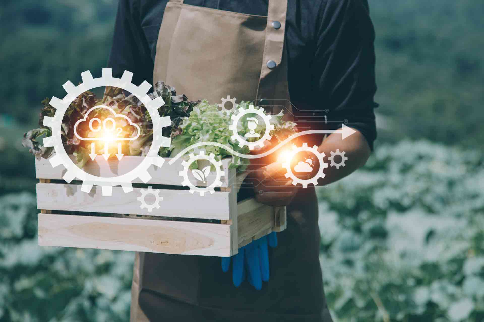 innovazione di processi territoriali