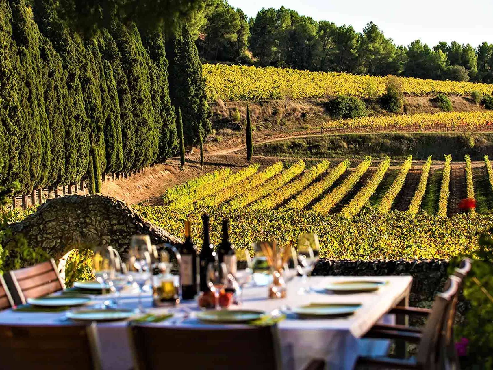 turismo enogastronomico