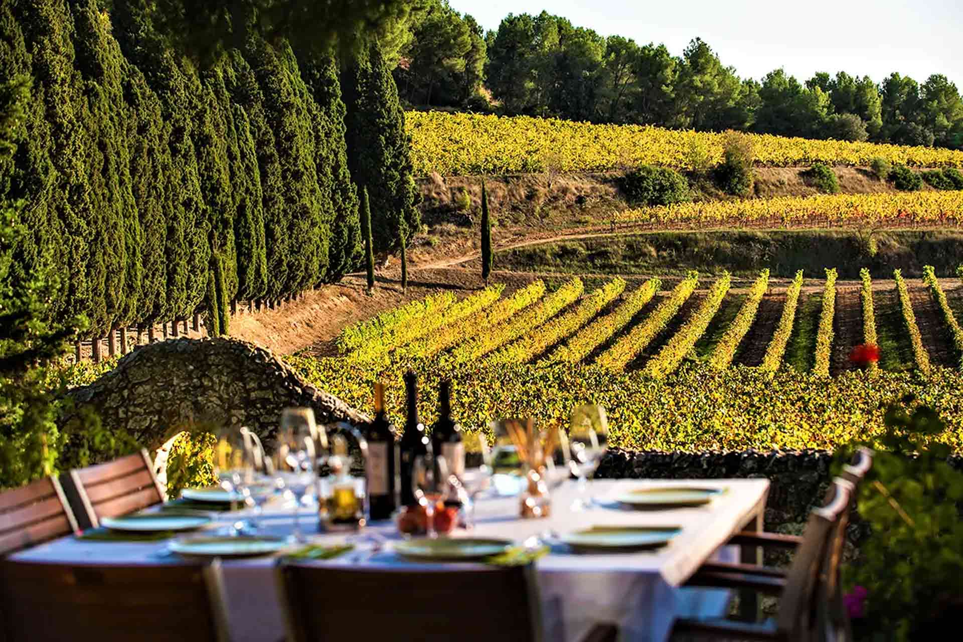 turismo enogastronomico